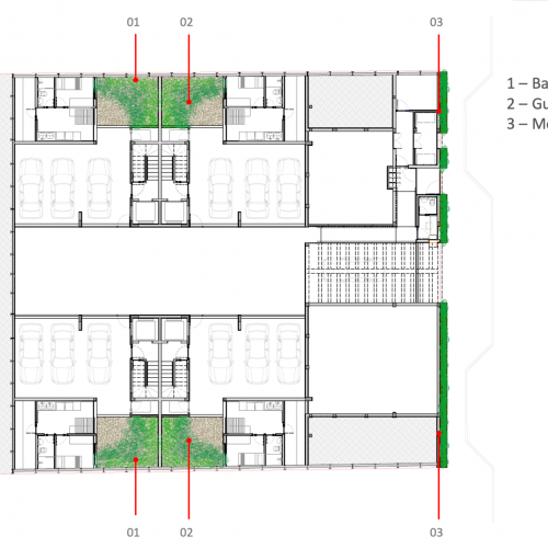 planta1