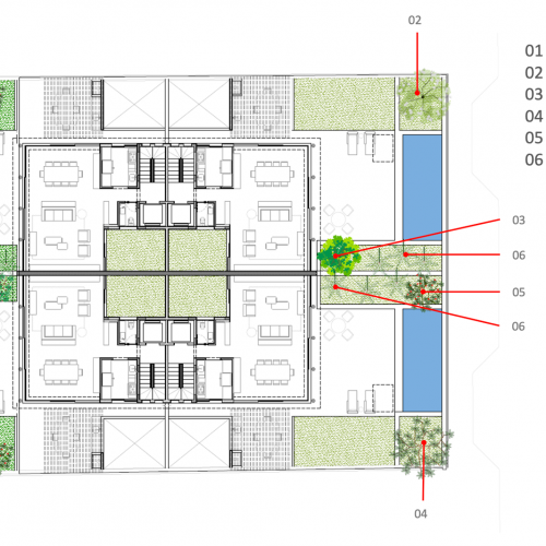 planta2